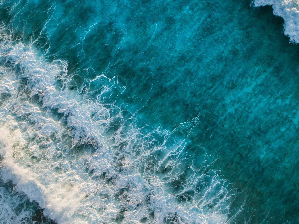 shifaaz shamoon oR0uERTVyD0 unsplash